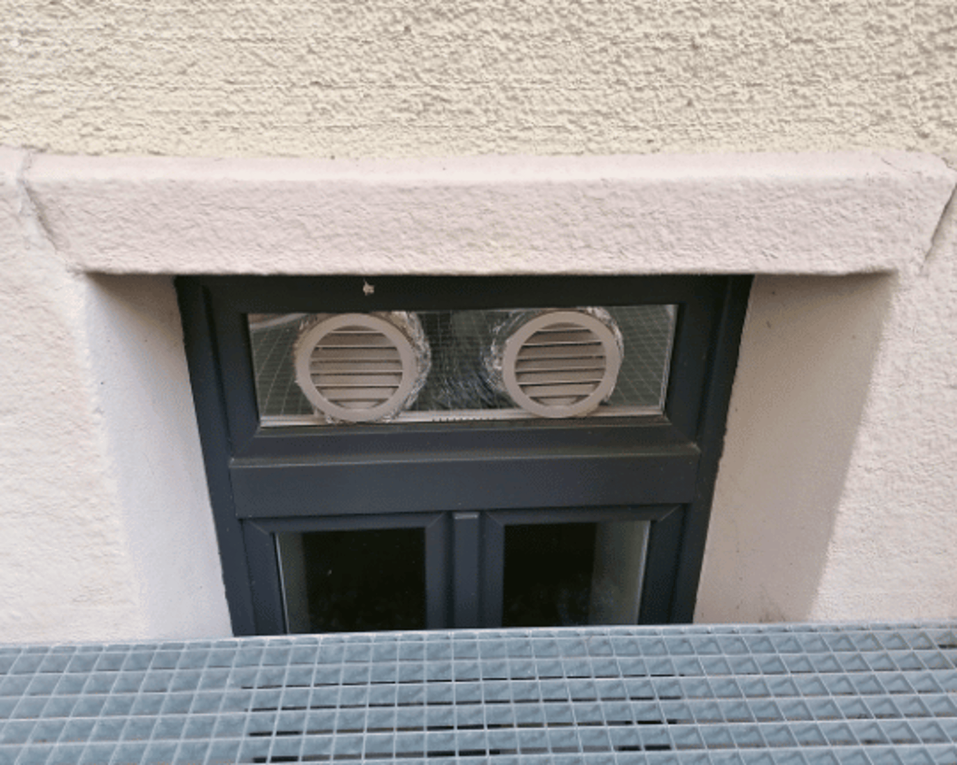 Schutz wertvoller Besitztümer vor Schimmel – Bild 2