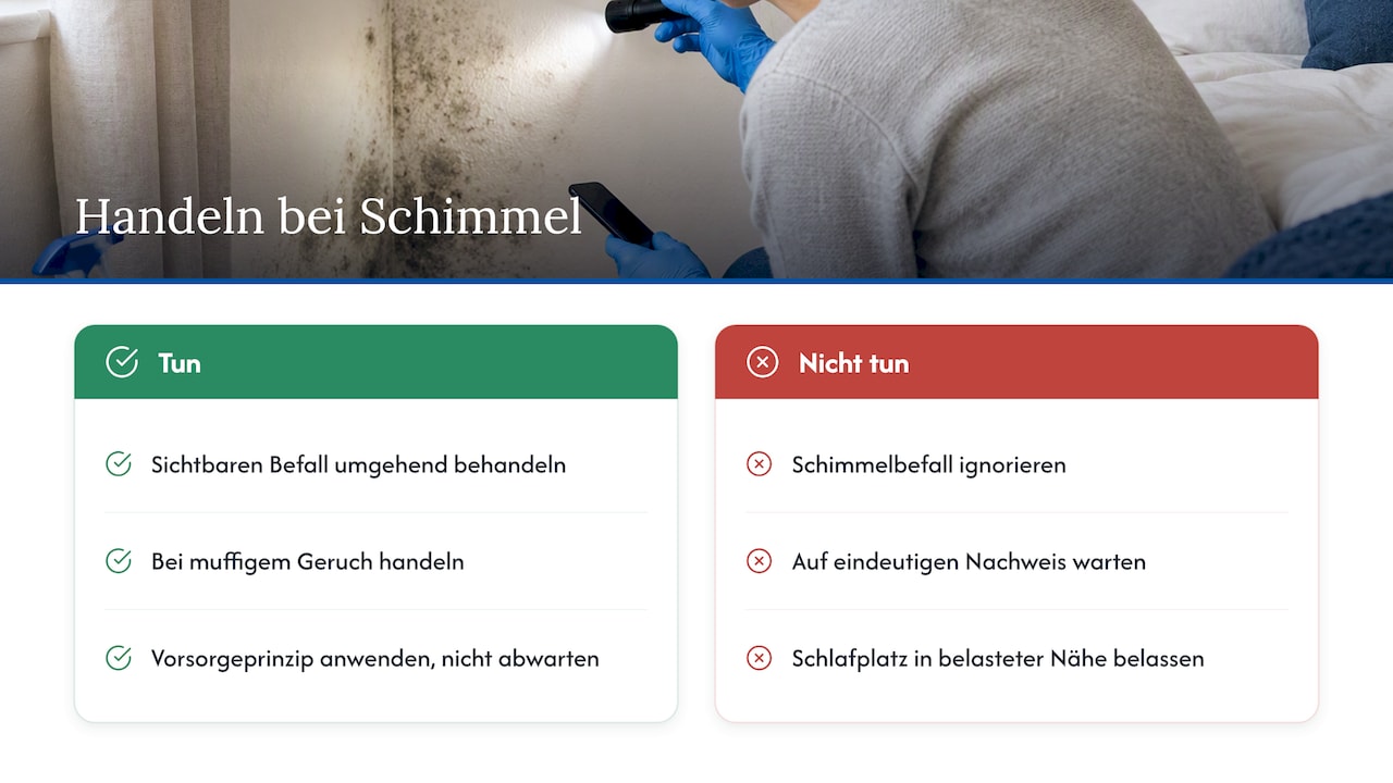 Welche Gesundheitsgefahren bestehen durch Schimmel im Schlafzimmer? — overview diagram