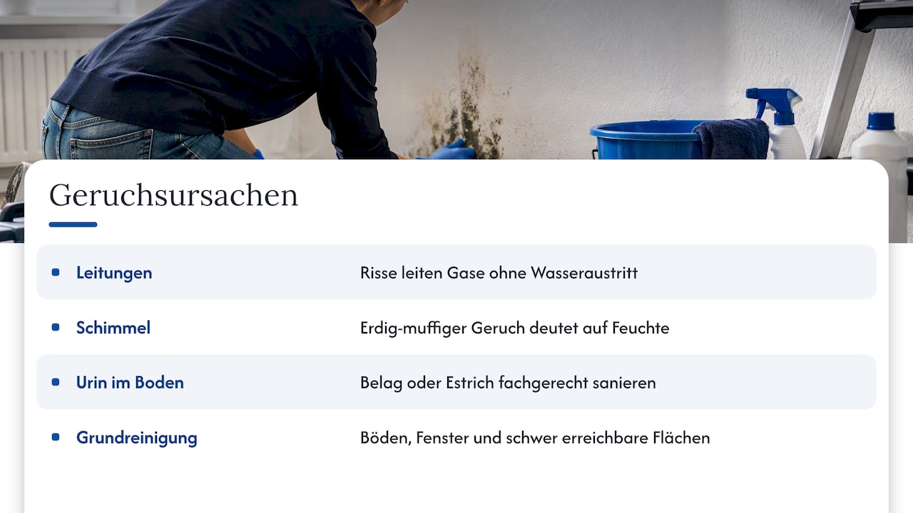 Wenn der Geruch trotz gründlicher Reinigung bleibt — overview diagram